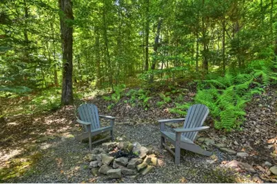101 Overlook Road, Blue Ridge, GA 30513 - Photo 46