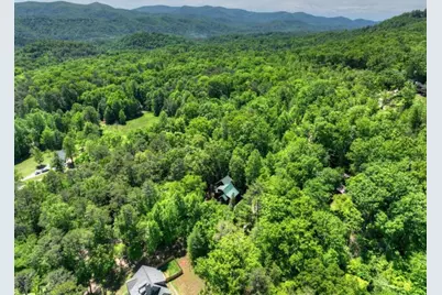 101 Overlook Road, Blue Ridge, GA 30513 - Photo 50