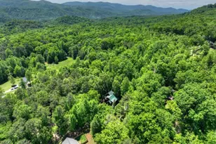 101 Overlook Rd, Blue Ridge, GA 30513 - Photo 50
