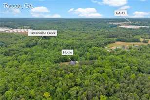 143 Pace Rd, Toccoa, GA 30577 - Photo 58