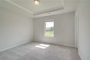 199 Buffalo Trce, Stockbridge, GA 30281 - Photo 18