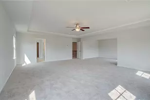 199 Buffalo Trce, Stockbridge, GA 30281 - Photo 24