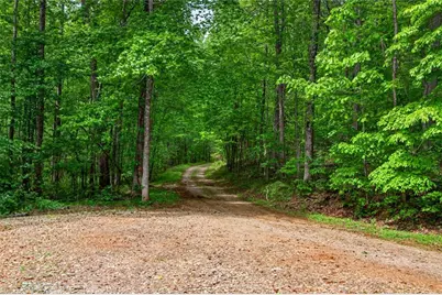 1 Thurmond Walker Road, Dahlonega, GA 30533 - Photo 36