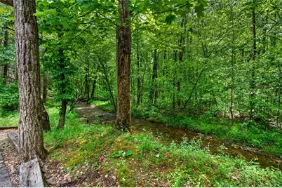 1 Thurmond Walker Road, Dahlonega, GA 30533 - Photo 44