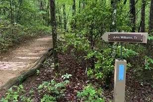 112 Trout Lily Trail, Jasper, GA 30143 - Photo 32