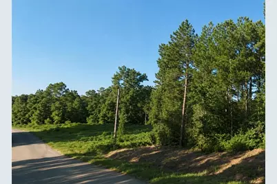 Lot 12 Nails Creek Xing, Royston, GA 30662 - Photo 4