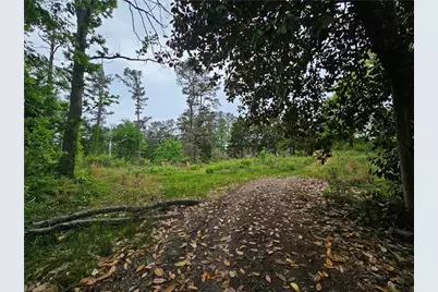 4699 Buckhorn Trail SE, Acworth, GA 30102 - Photo 2