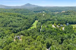 17 Dach Bruecke Gasse, Helen, GA 30545 - Photo 54
