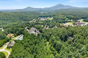 17 Dach Bruecke Gasse, Helen, GA 30545 - Photo 62