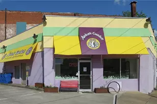 213 Murray Hill Ave NE, Atlanta, GA 30317 - Photo 68