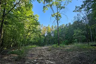 0 Ponderosa Trail, Dallas, GA 30132 - Photo 2