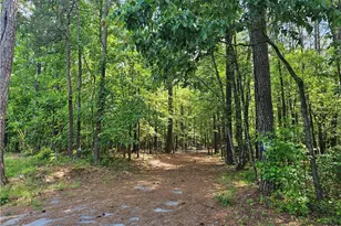 0 Ponderosa Trail, Dallas, GA 30132 - Photo 4