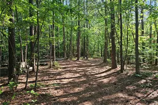 0 Ponderosa Trail, Dallas, GA 30132 - Photo 6