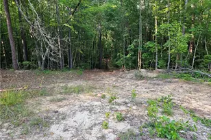 0 Ponderosa Trail, Dallas, GA 30132 - Photo 12