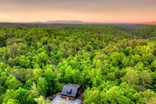 819 Hap Holt Rd, Ellijay, GA 30540 - Photo 94