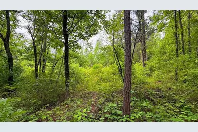 0 Largent Trail, Tallapoosa, GA 30176 - Photo 8