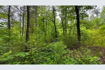 0 Largent Trail, Tallapoosa, GA 30176 - Photo 10
