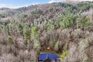 641 Bryant Farm Ln, Ellijay, GA 30540 - Photo 58