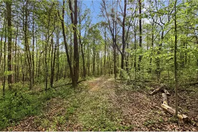 6668 Belton Bridge Road, Lula, GA 30554 - Photo 28