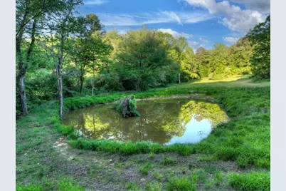 247 Craigtown Road, Ellijay, GA 30540 - Photo 88