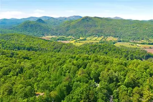 46 Spartan Ln, Rabun Gap, GA 30568 - Photo 80