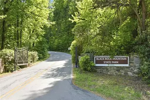 46 Spartan Ln, Rabun Gap, GA 30568 - Photo 96