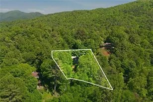 46 Spartan Ln, Rabun Gap, GA 30568 - Photo 68