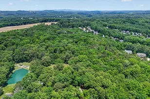 421 Lusk Ct, Canton, GA 30114 - Photo 46