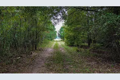 0 Willow Creek Drive, Oglethorpe, GA 31068 - Photo 4
