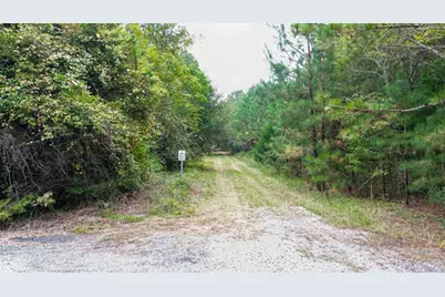 0 Willow Creek Drive, Oglethorpe, GA 31068 - Photo 6