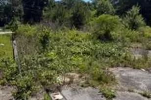 2137 Joy Lake Rd, Morrow, GA 30260 - Photo 1