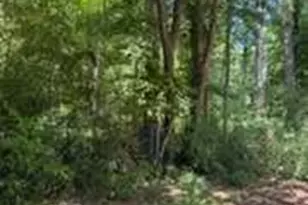 0 Windsor Way, Newnan, GA 30263 - Photo 2