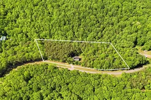 4956 Burnt Mountain Rd, Ellijay, GA 30536 - Photo 6