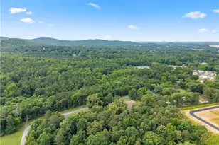 45 E Rocky St NE, White, GA 30184 - Photo 48