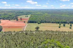 0 Hwy 11, Monticello, GA 31064 - Photo 1