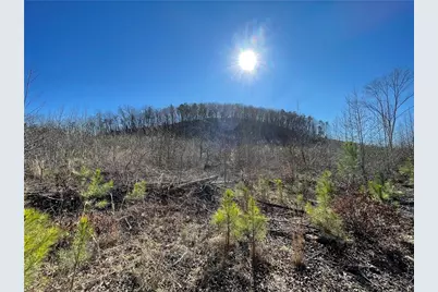 0A Johnson Lake Road #0A, Cedartown, GA 30125 - Photo 16