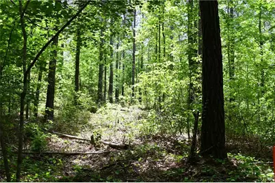 00001 Wilson Road, Temple, GA 30179 - Photo 34