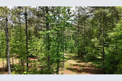 00001 Wilson Road, Temple, GA 30179 - Photo 88