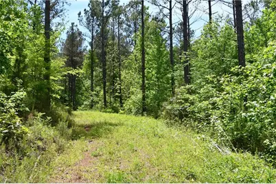 00001 Wilson Road, Temple, GA 30179 - Photo 40