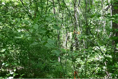 00001 Wilson Road, Temple, GA 30179 - Photo 26