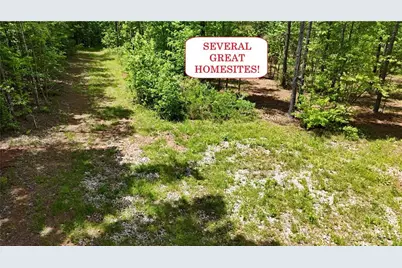 00001 Wilson Road, Temple, GA 30179 - Photo 4