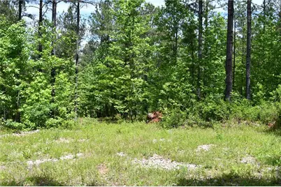 00001 Wilson Road, Temple, GA 30179 - Photo 54