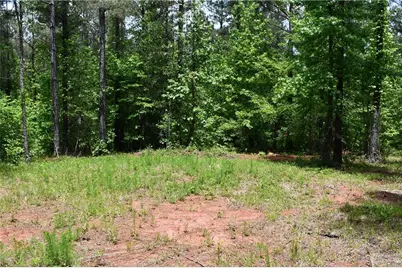 00001 Wilson Road, Temple, GA 30179 - Photo 50