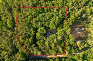 5860 Old Bucktown Rd, Ellijay, GA 30536 - Photo 12