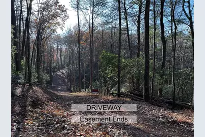 3A Turniptown Road, Ellijay, GA 30536 - Photo 48