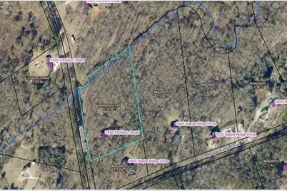 3259 Etchison Road, Loganville, GA 30052 - Photo 46
