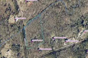3259 Etchison Rd, Loganville, GA 30052 - Photo 46