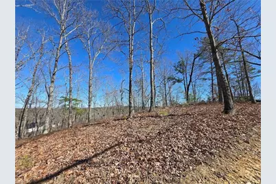 0 Brushy Mountain Road, Rockmart, GA 30153 - Photo 8