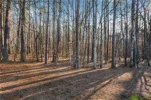 132 Churchcliff Dr, Woodstock, GA 30188 - Photo 30