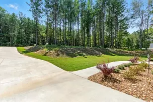 62 Joe Rowell Rd, Buchanan, GA 30113 - Photo 4